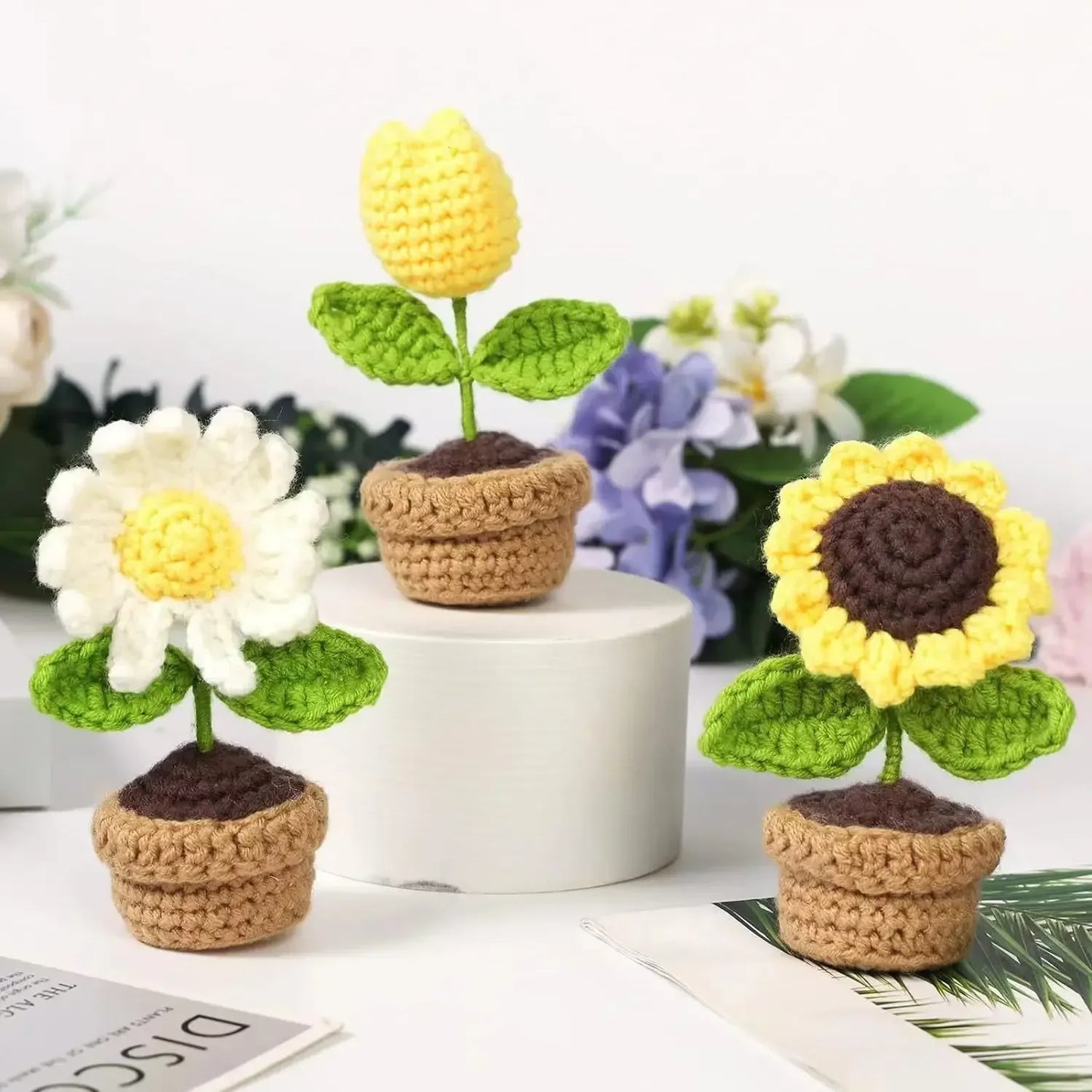 Crochet Kit for Beginners Starter Kits for Adults Craft Knitting with Step-by-Step Video Tutorials Hanging Potted Plants Family